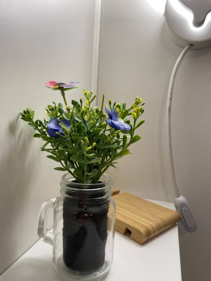 "The Gole Of Alcantara Living In The Dream'S Room" 그라니티 외부 사진